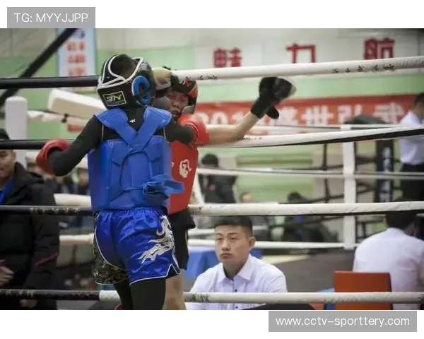 中国拳击俱乐部生存现状调查：赛事数量不足制约人才成长